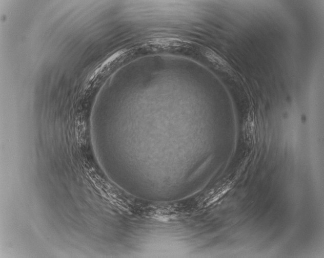 X0000053050822200507251421