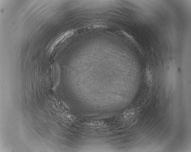 X0000053050823200507251421