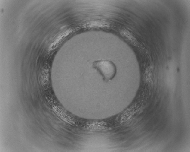 X0000053050824200507251421