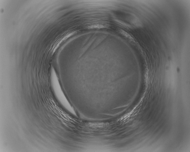 X0000053050825200507251421