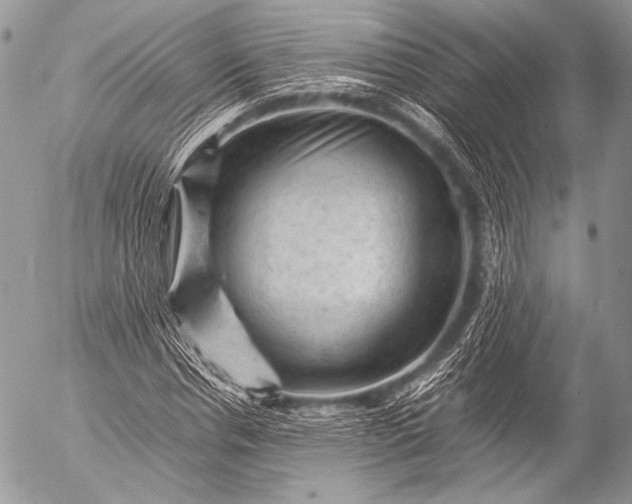 X0000053050826200507251421