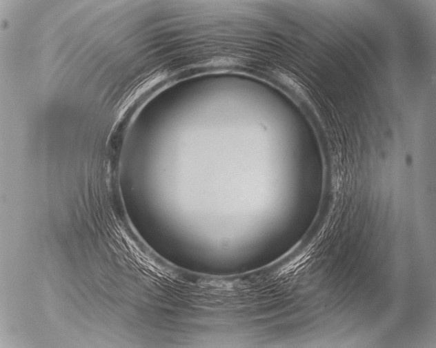 X0000053050827200507251421