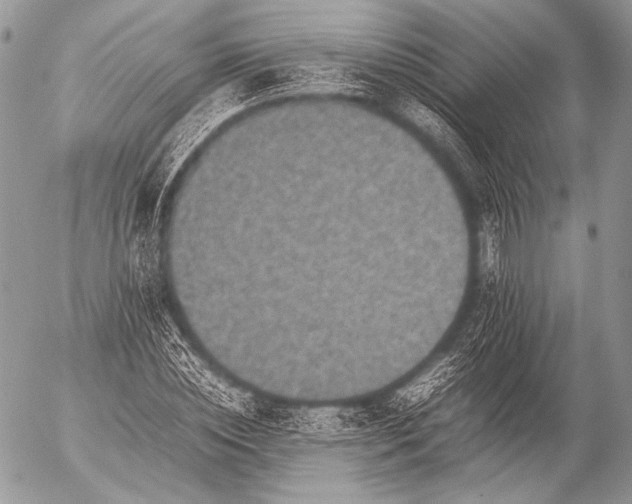 X0000053050828200507251421