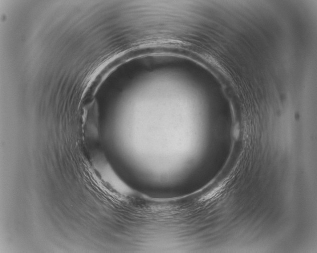 X0000053050830200507251421