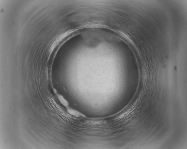 X0000053050831200507251421