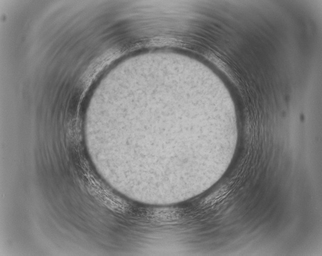 X0000053050832200507251421