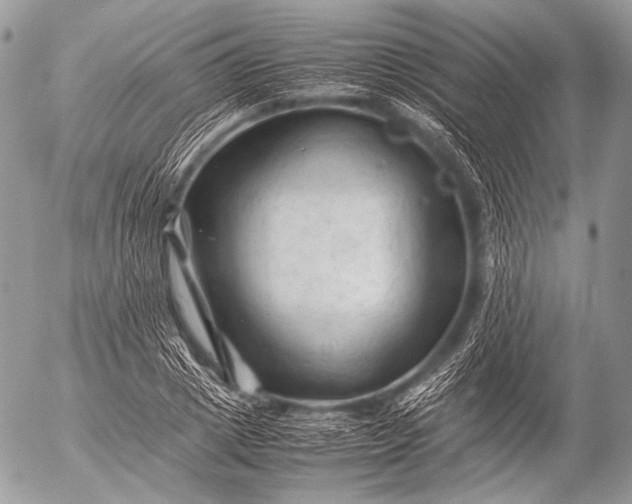 X0000053050833200507251421