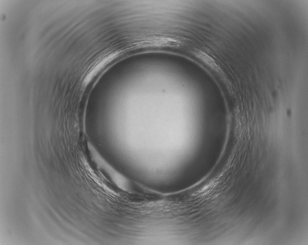 X0000053050834200507251421