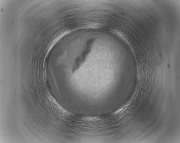 X0000053050835200507251421