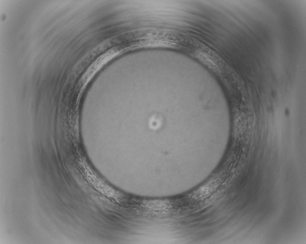 X0000053050836200507251421