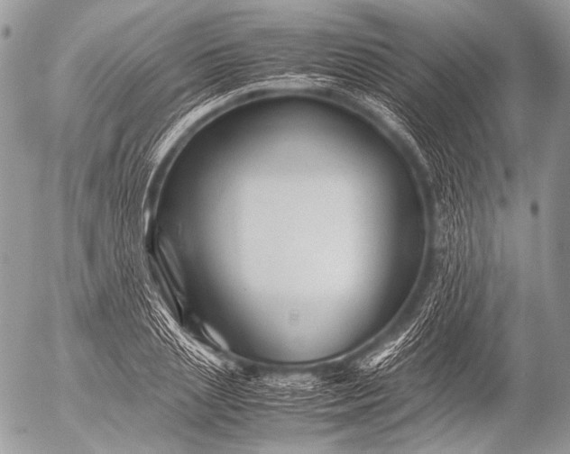 X0000053050837200507251421