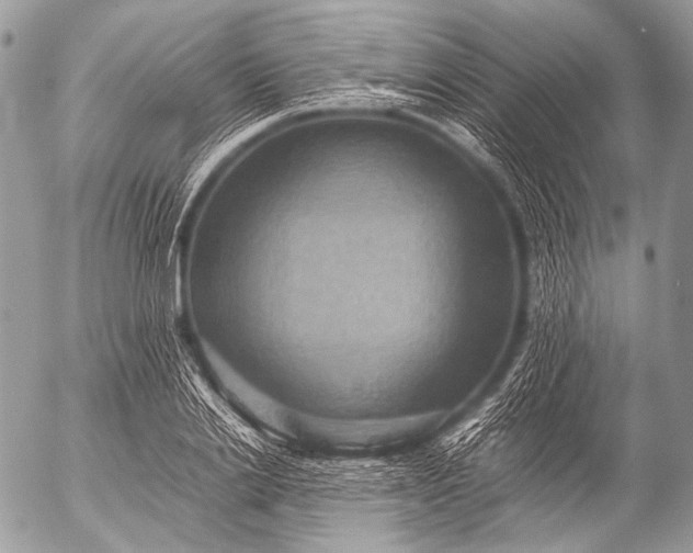 X0000053050838200507251421