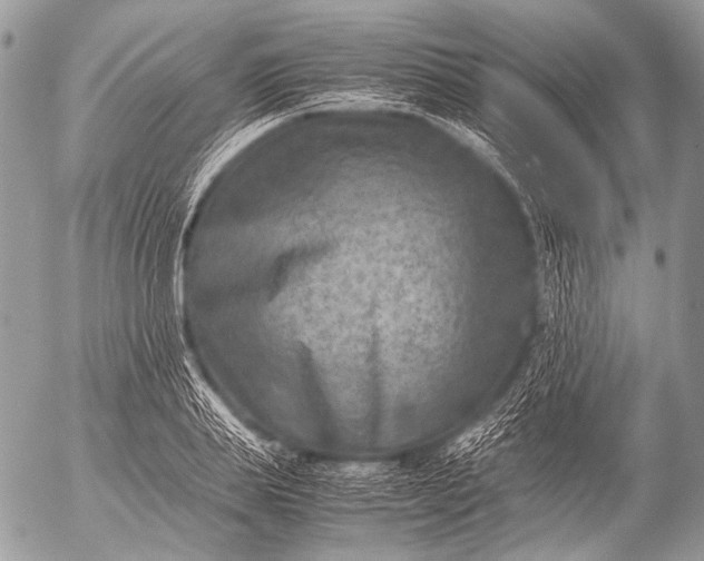 X0000053050839200507251421