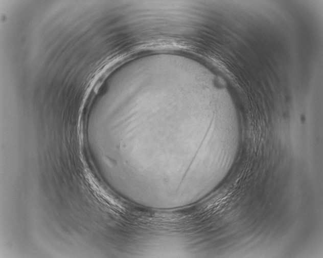 X0000053050840200507251421