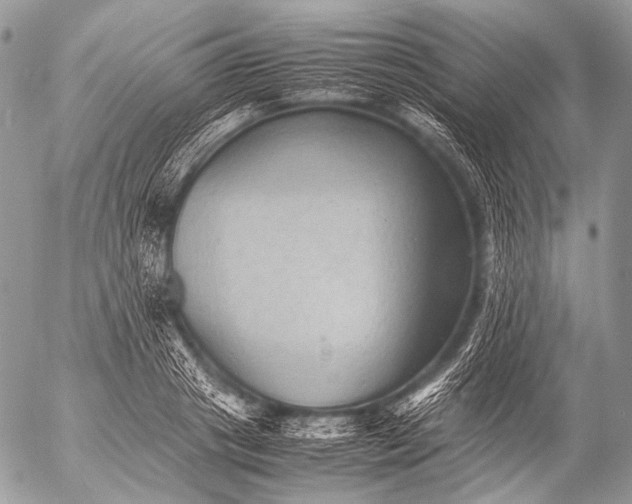 X0000053050841200507251421