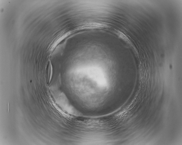 X0000053050842200507251421