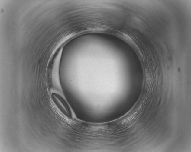 X0000053050843200507251421