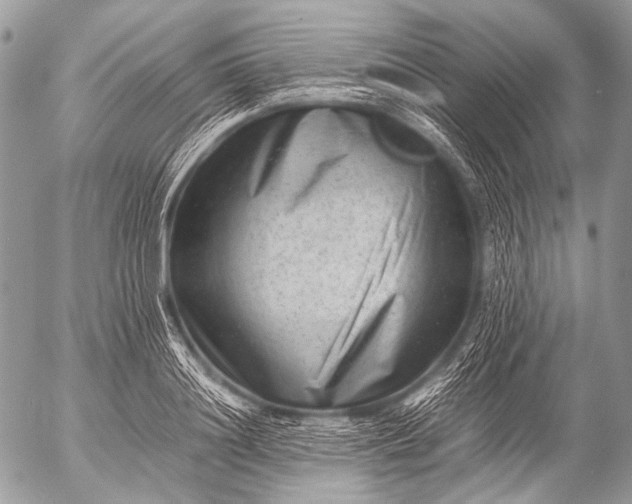 X0000053050844200507251421