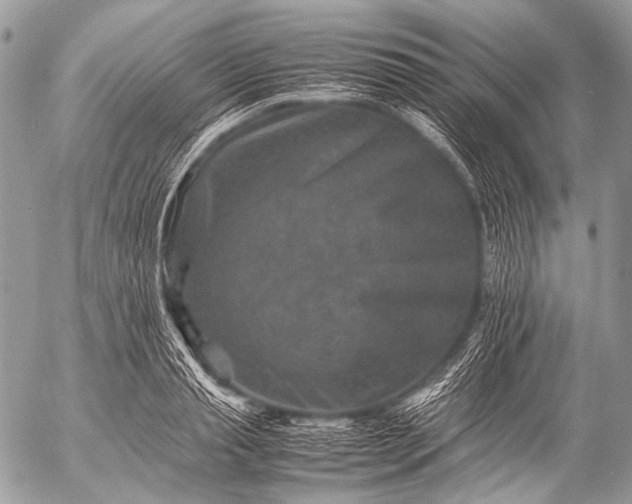 X0000053050845200507251421