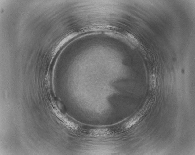 X0000053050846200507251421