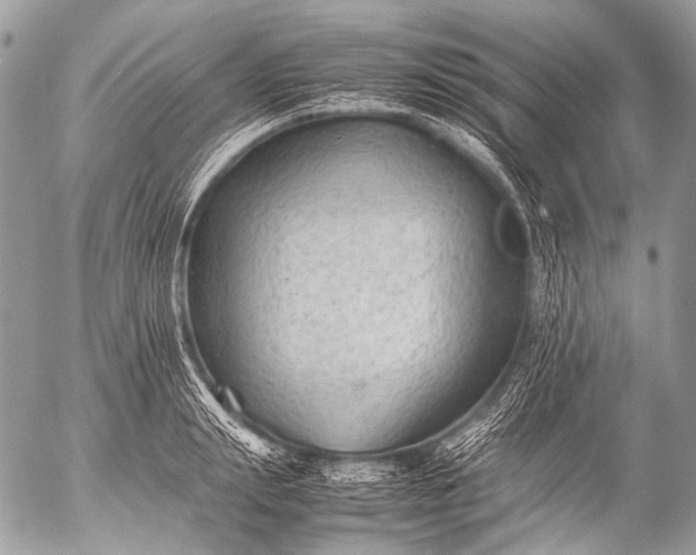 X0000053050847200507251421