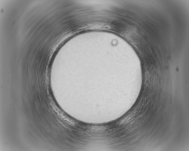 X0000053050848200507251421