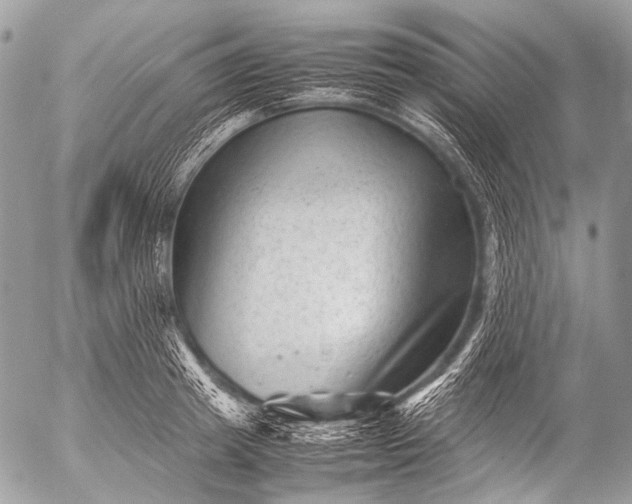 X0000053050849200507251421