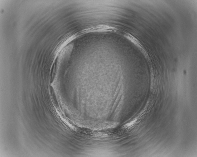 X0000053050850200507251421