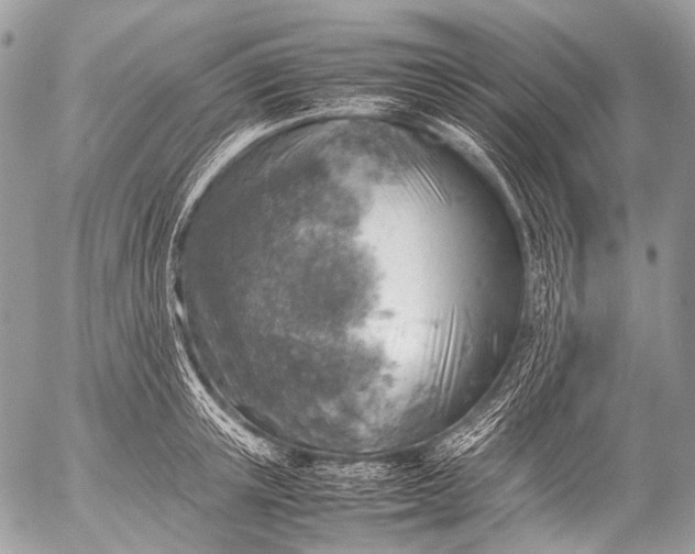 X0000053050851200507251421