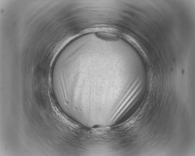 X0000053050852200507251421