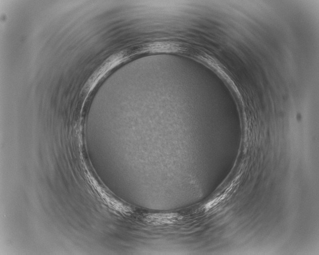 X0000053050853200507251421