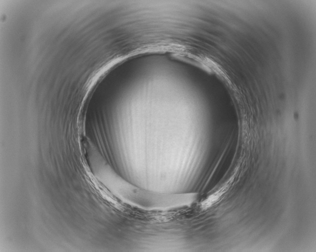 X0000053050854200507251421