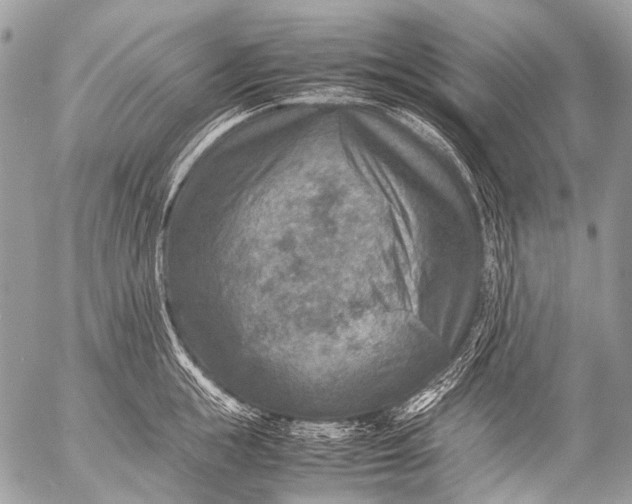 X0000053050855200507251421