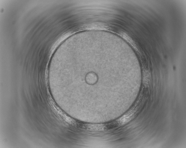 X0000053050856200507251421