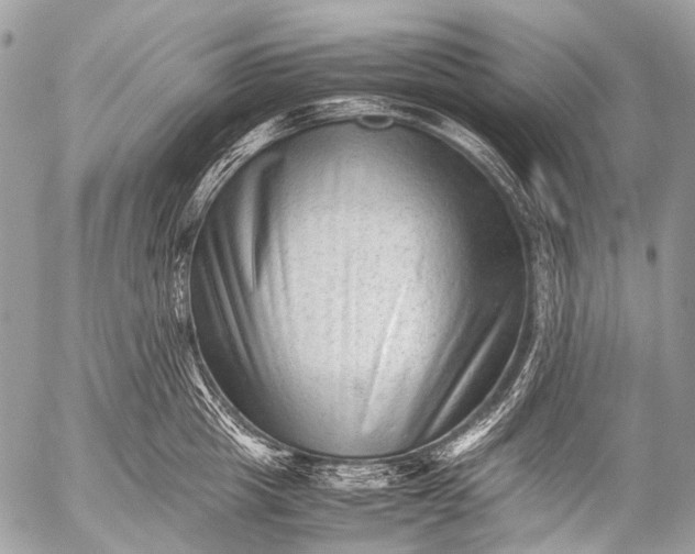 X0000053050857200507251421