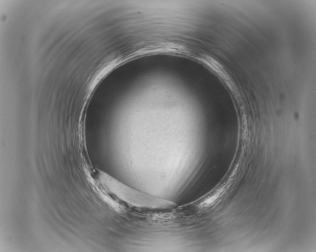 X0000053050858200507251421