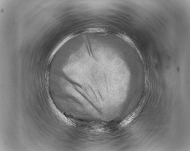 X0000053050859200507251421