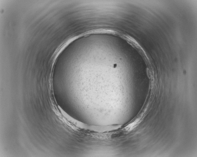 X0000053050860200507251421