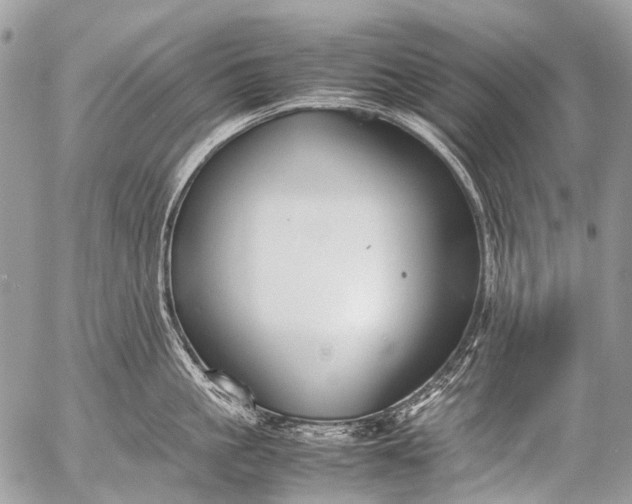 X0000053050861200507251421