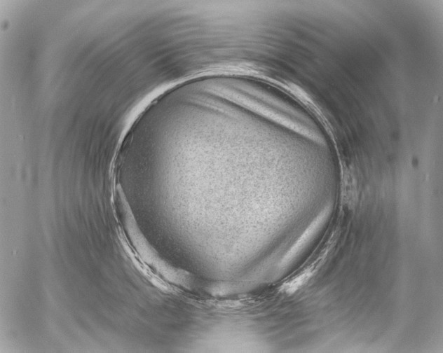 X0000053050862200507251421