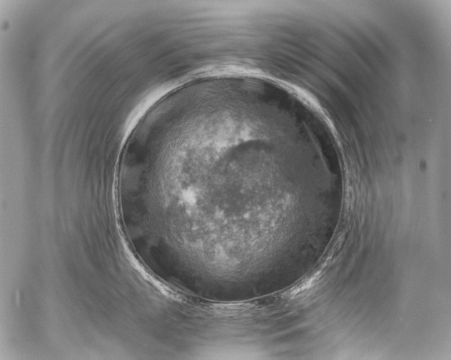 X0000053050863200507251421