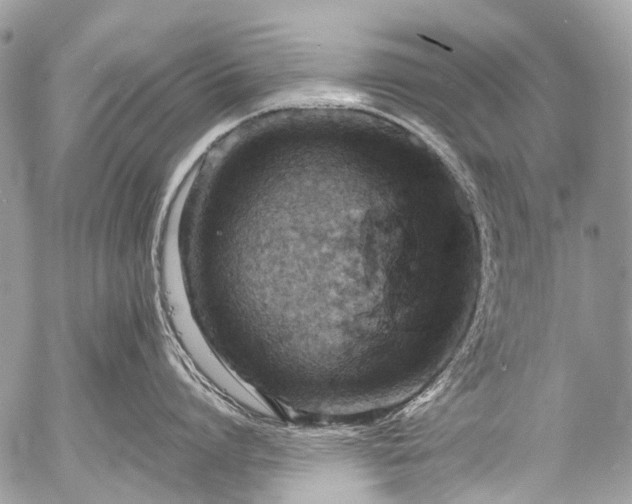 X0000053050864200507251421