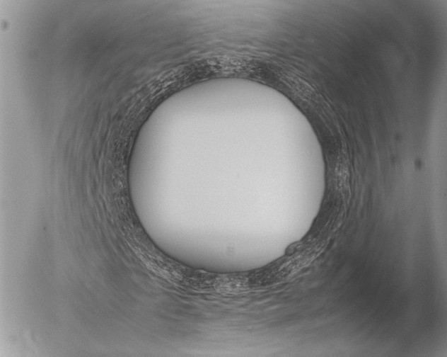 X0000053050865200507251420