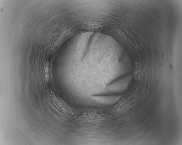 X0000053050866200507251420