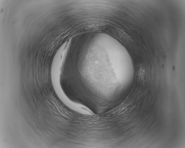 X0000053050868200507251420