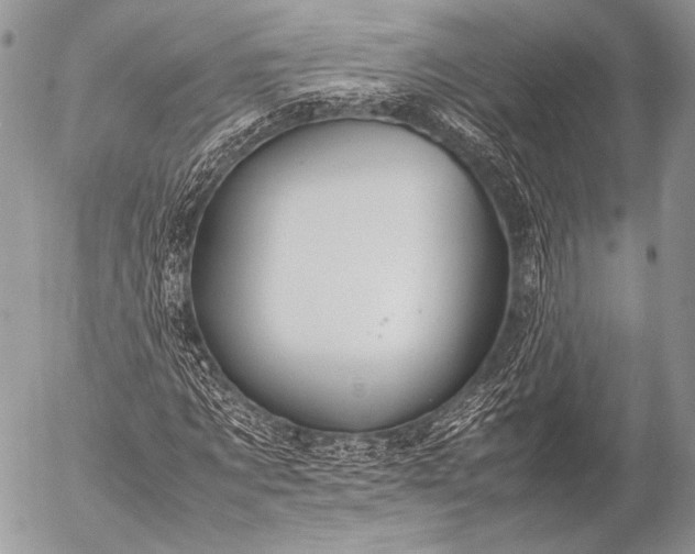 X0000053050869200507251420