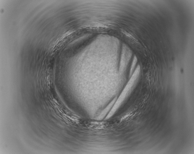 X0000053050870200507251420