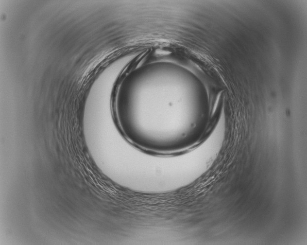 X0000053050871200507251420