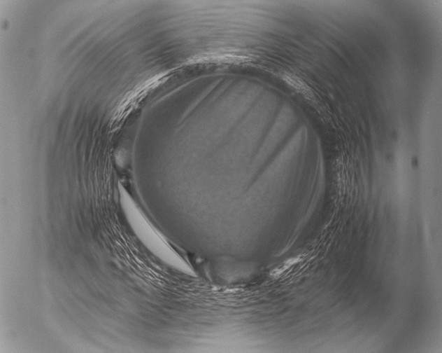 X0000053050872200507251420