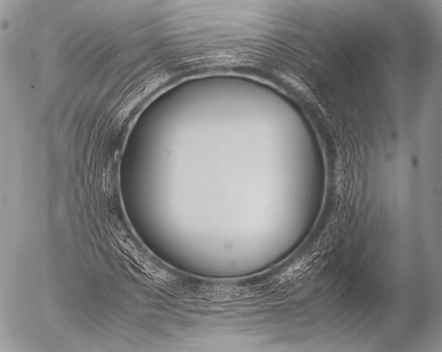 X0000053050873200507251420